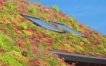 Irton living roof systems